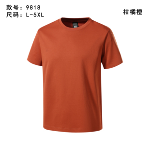 正品 T恤半袖 纽百康新款 高品短袖 棉T 纯色圆领莱赛尔棉男士 26年夏季