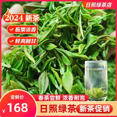 日照绿茶2024新茶叶春茶明前特级豆香板栗香浓香型礼盒装散装500g