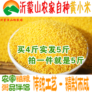新米黄小米山东沂蒙山新小黄米粥真空装五谷杂粮婆婆自种早餐食用