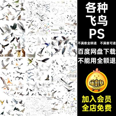 飞行飞鸟PSD鸟类动物ps免鸟群大雁素材各种抠鸽子白鹭效果图姿态