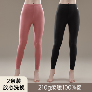 顶瓜瓜女士秋冬季纯棉打底保暖裤两条装顶呱呱中厚下装纯色棉毛裤
