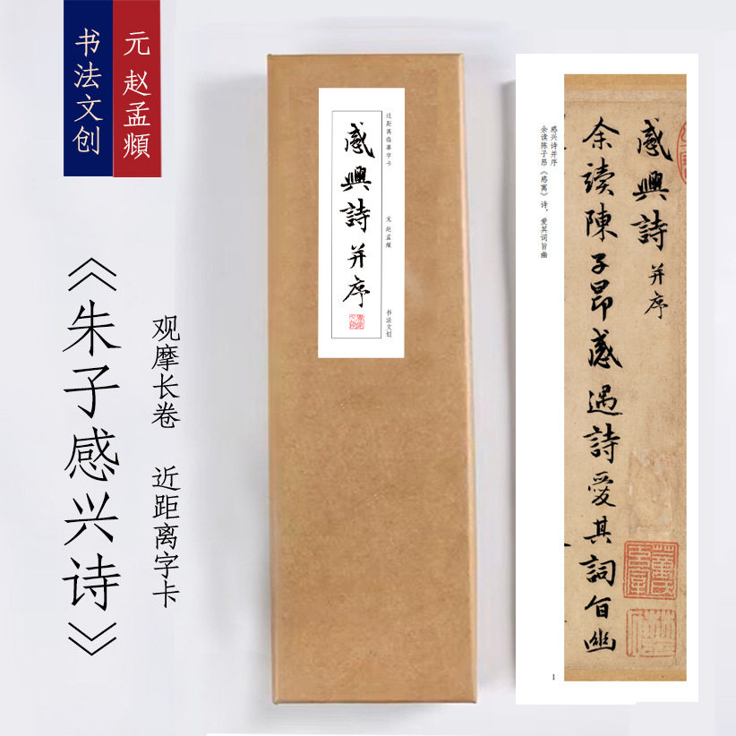 元赵孟朱子感兴诗《朱子感兴诗并序》书法手卷近距离临摹描红练