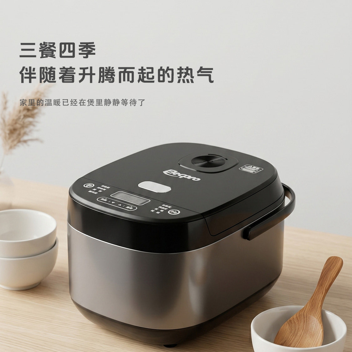 ELECPRO/伊立浦 N4