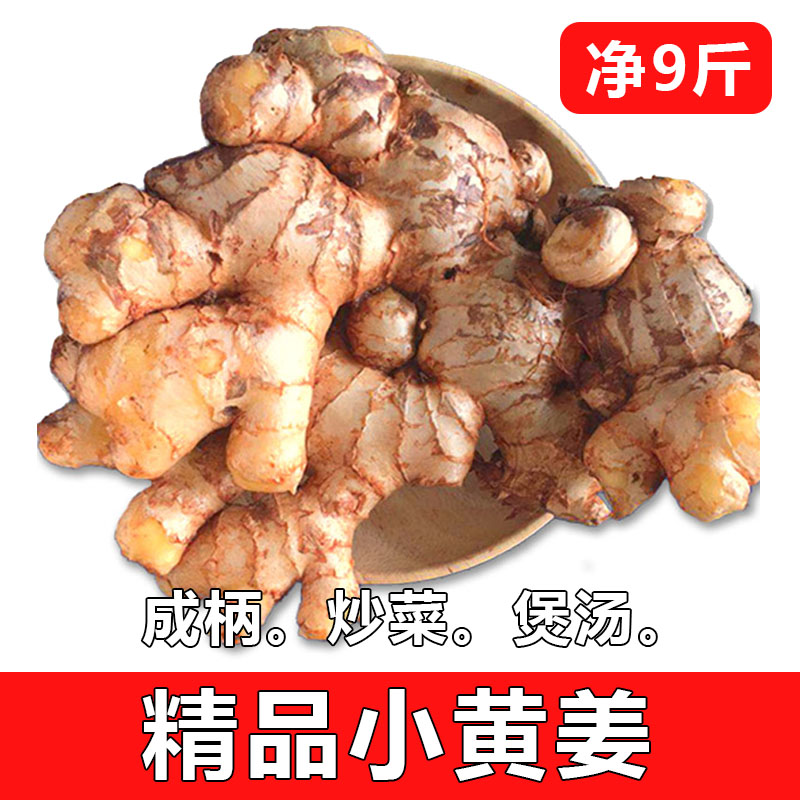 云南山地小黄姜精选大块做菜煲汤生姜