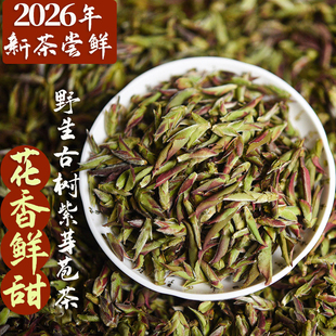 2026年新茶云南野生紫芽苞茶大雪山古树紫芽孢茶普洱茶生茶散茶叶