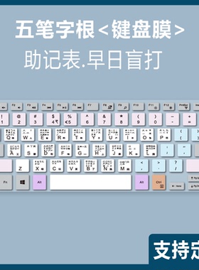 适用戴尔笔记本电脑P49G P41F P53G P54G P55G P57G五笔字键盘膜
