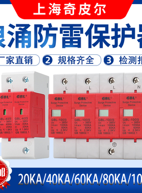 上海奇皮尔GBL浪涌保护器2P/4P 20KA40KA60KA80KA100KA电源防雷器