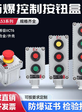 防爆控制按钮开关 LA/BZA53旋钮盒急停带防护罩IICT6铸铝箱有证书