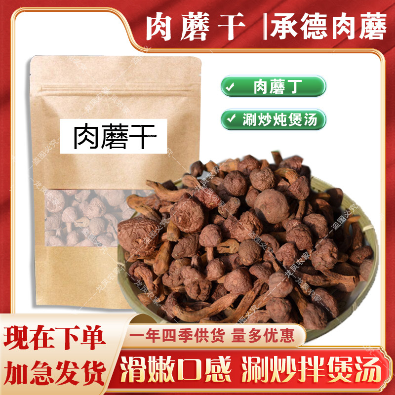 肉蘑丁 小个红肉蘑菇 承德肉蘑 红松树伞蘑菇食用菌干货炖炒煲汤