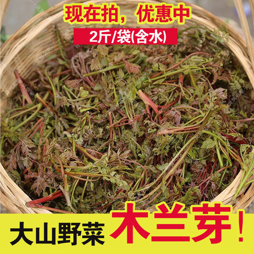 木兰芽木嫩芽木了芽木立芽栾树芽木老芽木兰头2斤含水袋装山野菜