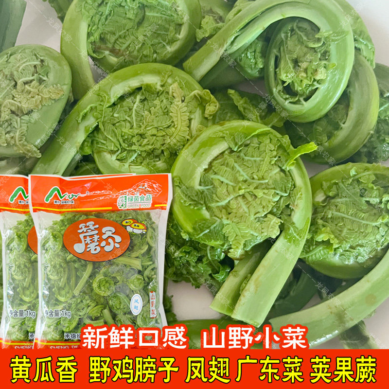 4斤黄瓜香袋装含水山野菜广东菜新鲜勾勾荚果蕨菜凉拌爆炒做馅