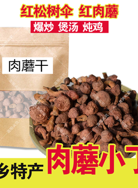 肉蘑丁小个承德肉蘑菇干货红松树伞红肉蘑菇食用菌干新货无干燥剂