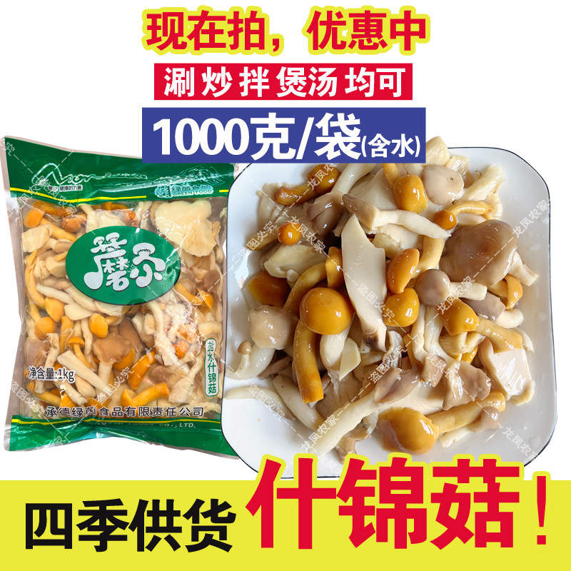 2斤什锦菇含水袋装杂菌混合蘑菇罐头滑子菇杏鲍菇白平菇姬菇杂菌