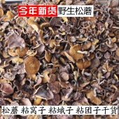 松伞蘑松钉蘑菇特产干货 山蛾子 松蘑野生粘窝子松菇 包邮 新货