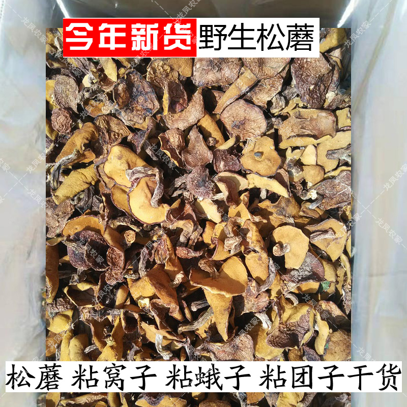 野生松蘑粘团子承德东北干货包邮
