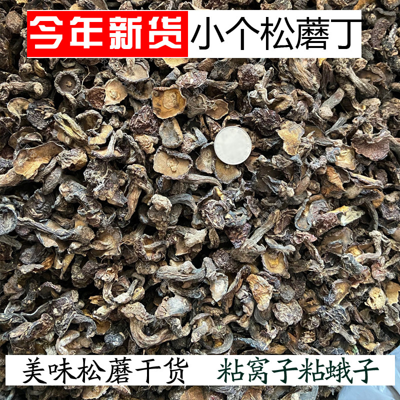 松蘑 粘窝子粘团子 粘蛾松磨 松树蘑 承德特产东北松磨丁干货包邮