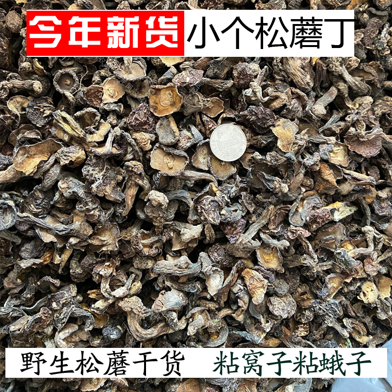 松蘑粘团子野生承德特产东北