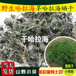 干哈拉海旱哈拉海山野菜螫麻子小荨麻水哈拉海承德特产干货200克