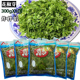 5袋花椒芽新鲜口感花椒叶含水山野菜袋装 嫩芽凉拌花椒芽炸做馅酱