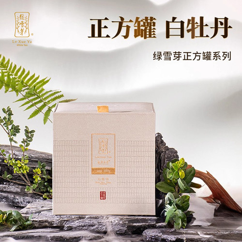 绿雪芽白茶一级高山福建礼盒装