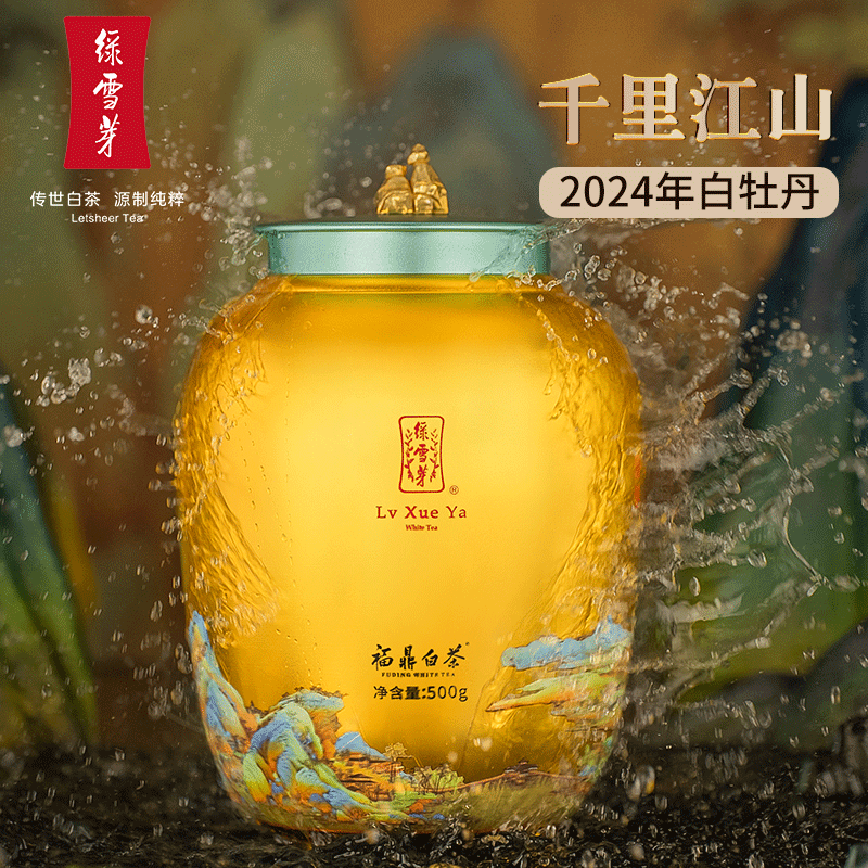福鼎白茶2024年特级500g