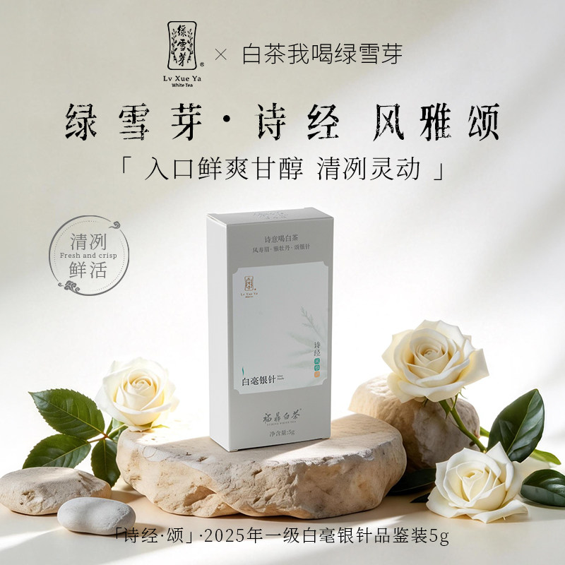绿雪芽福鼎白茶诗经白毫银针5g图片