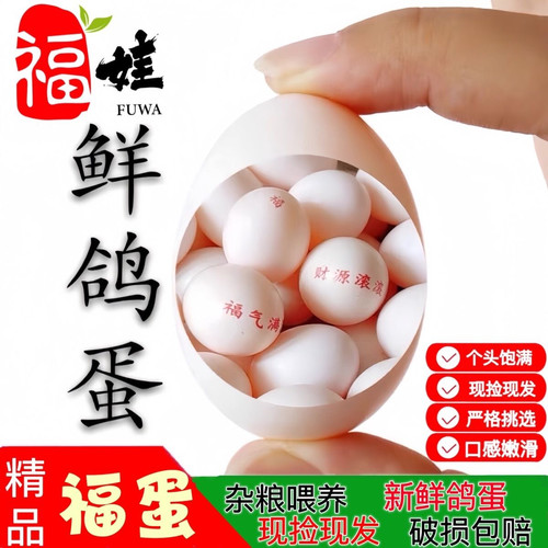 福娃农场现捡现发鸽子蛋顺丰包邮