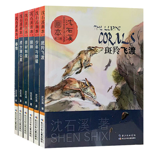 【快速发货】 沈石溪画本·二辑全6册：少年与狼獾+狼种+苦豺制度+虎女蒲公英+春情+斑羚飞渡 沈石溪 长江少年儿童出版社