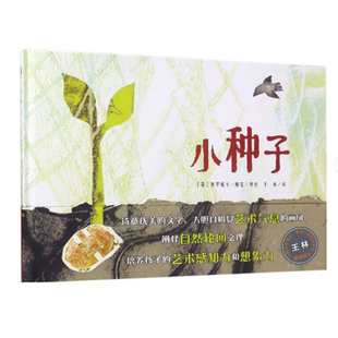 【快速发货】(精装绘本)小种子荷维罗妮卡鲍克著王林译天津人民美术出版社9787530579060