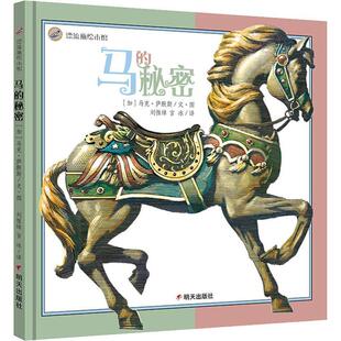 【48小时内发货】  漂流瓶绘本馆：马的秘密[精装彩绘] [加]马克·萨默斯 绘 明天出版社 9787570801824