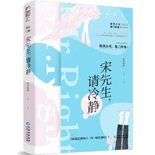 清冷静 塑封 社 24小时后发货 9787221159427 贵州人民出版 长篇小说：宋先生 大鱼文化 维安晚晴