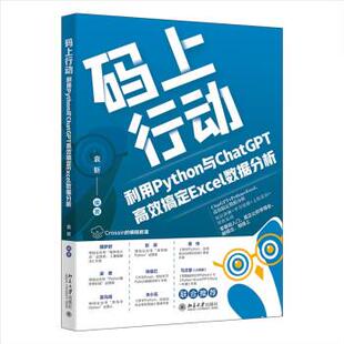 上行动：利用Python与ChatGPT高效搞定Excel数据分析 码 袁昕 北京大学出版 9787301341193 社 24小时后发货