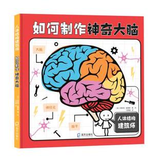 译 社 精装 柯斯蒂·霍姆斯 绘著 英 人体结构建筑师：如何制作神奇大脑 绘本 海天出版 冯常娜 24小时左右发货