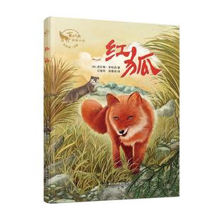 徐德荣 9787513715324 百年经典 社 中国和平出版 译 江建利 查尔斯·罗伯茨 动物小说：红狐 24小时后发货