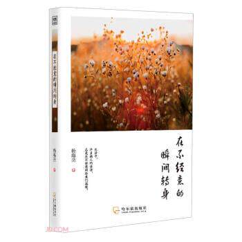 【24小时左右发货】  中国当代散文集：在不经意的瞬间转身 杨海亮 著 哈尔滨出版社 9787548458289