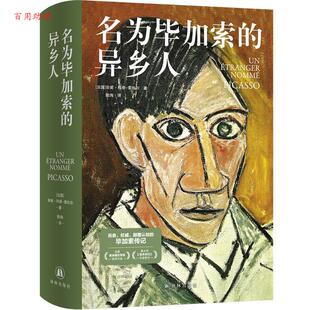 著 48小时内发货 安妮·科恩 陆洵 社 异乡人 江苏译林出版 名为毕加索 9787575303576 精装 译 索拉尔