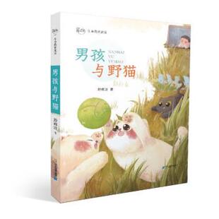 四色注音 舒辉波 著 社集团 舒辉波生命教育童话：男孩与野猫 二十一世纪出版 9787556862580 48小时内发货