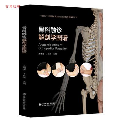 【48小时内发货】  骨科触诊解刨学图谱 丁自海,王增涛 山东科学技术出版社 9787572320200