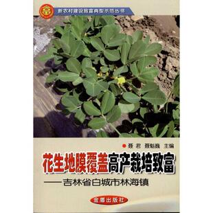 【48小时内发货】  新农村建设致富典型示范丛书：花生地膜覆盖高产栽培致富·吉林省白城市林海镇 聂君 聂魁巍 金盾出版社