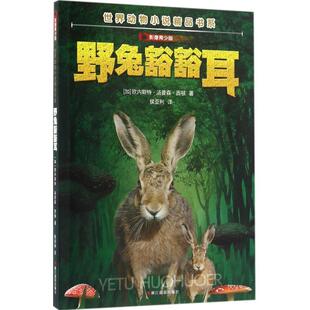 【24小时后发货】  【儿童文学】（简装塑封）世界动物小说精品书系：野兔豁豁耳（四色） (加)欧内斯特·汤普森·西顿 著,侯亚利