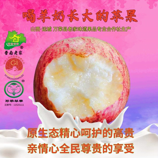 脆甜爆汁 新鲜水果 万荣苹果 出口品质 正宗万荣羊奶苹果
