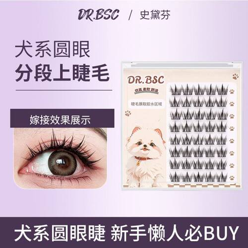 DRBSC假睫毛DR.BSC【新款犬系假睫毛】无辜狗狗眼漫画芭比睫分段