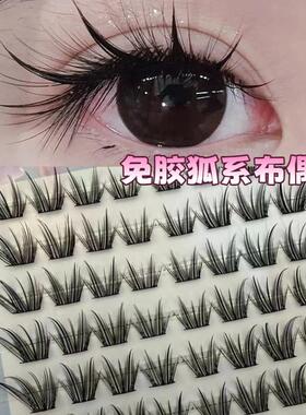 丝丝小姐免胶布偶猫假睫毛上镜卷翘眼尾拉长仿真野生单簇眼睫毛