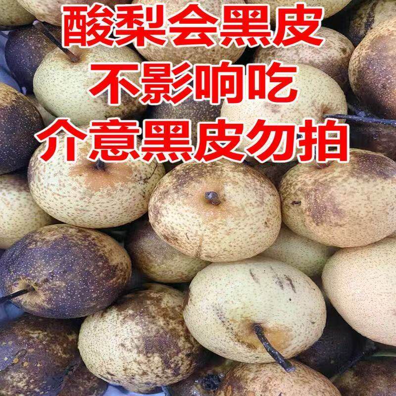 酸梨安梨正宗东北安梨大酸梨可做冻梨多省包邮细皮酸梨5斤装包邮