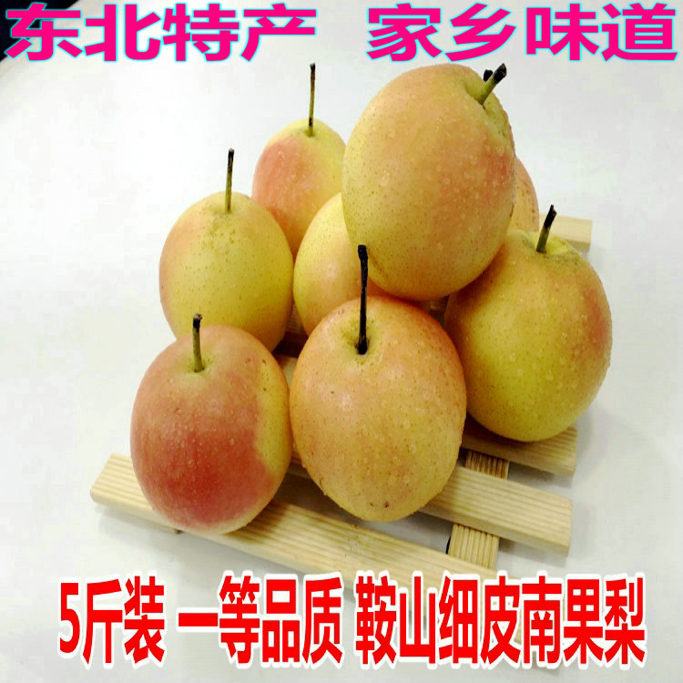一等大果南果梨鞍山特产安国梨南国梨鲜果皮薄汁多5斤装包邮
