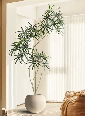 大型仿真绿植孔雀木室内客厅落地装饰花高级仿生植物盆栽盆景摆件