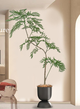 仿真绿植高端轻奢盆栽蓝花楹高级仿生假植物室内客厅落地装饰花