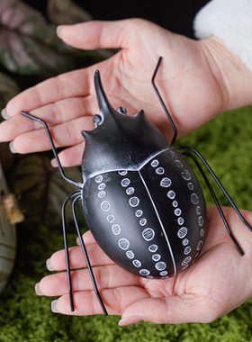 特价清仓创意树脂摆件仿真甲壳虫昆虫摆设客厅电视柜书房书桌装饰