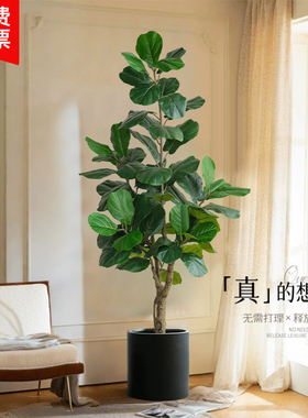 假绿植装饰仿真琴叶榕室内盆栽大型落地摆件客厅轻奢仿生植物造景