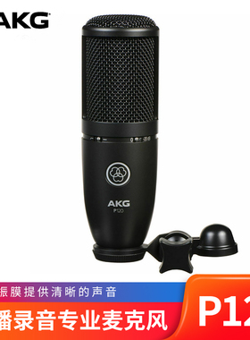 AKG P120电容麦48V滤波器录书音质好